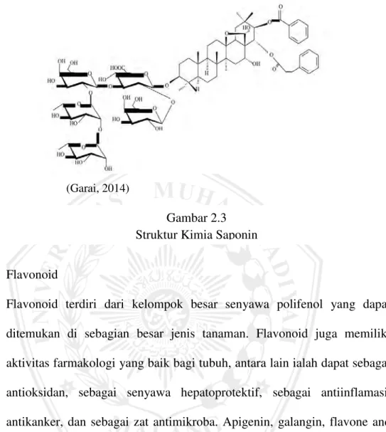 Gambar 2.3  Struktur Kimia Saponin 