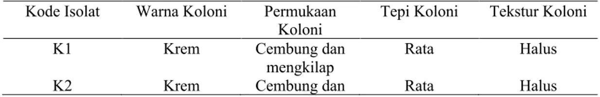 Tabel 2.1. Morfologi koloni khamir dari buah kersen (Muntingia calabura) 