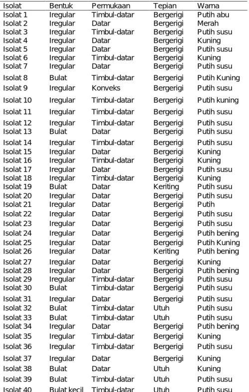 Tabel 3.1 Hasil Isolasi Bakteri Endofit Daun Kemangi 