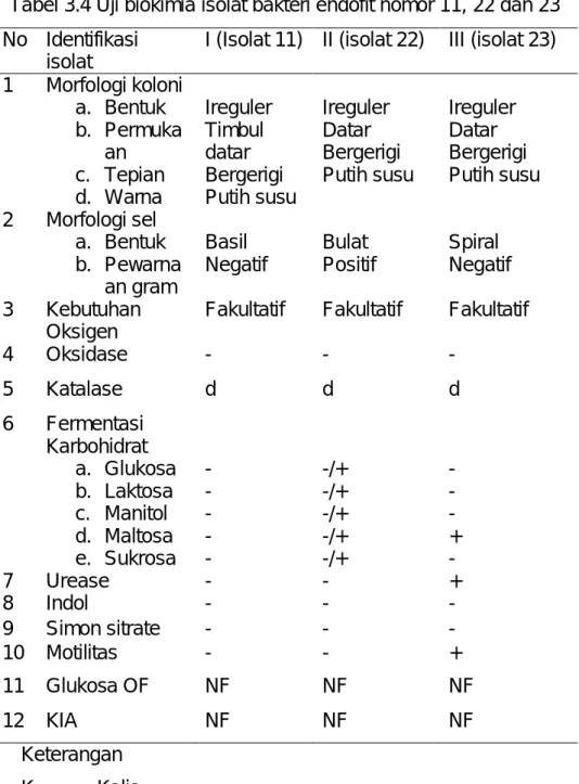 Tabel 3.4 Uji biokimia isolat bakteri endofit nomor 11, 22 dan 23  No   Identifikasi 