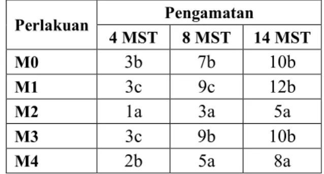 Tabel 4.3  menunjukkan pertambahan jumlah  ruas  tertinggi terdapat pada minggu ke-14  setelah tanam