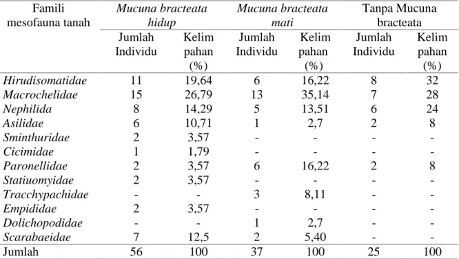 Tabel 2. Kelimpahan (%) mesofauna tanah pada tegakan tanaman karet di tanah gambut yang terdapat Mucuna  bracteata hidup, Mucuna  bracteata mati  dan  tanpa Mucuna bracteata