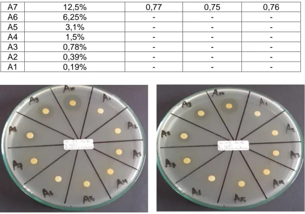 Gambar 4.  hasil pengujian aktivitas antibakteri ekstrak etanol ranting gaharu 