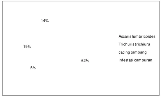 Gambar 1. Diagram distribusi infestasi STH menurut spesies cacing 