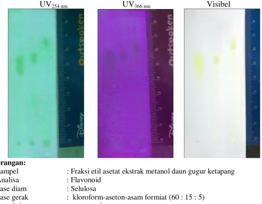 Gambar 2. Kromatogram identifikasi senyawa golongan flavonoid dari fraksi etil asetat  ekstrak  metanol  daun  gugur  ketapang  segar  (GS)  dan  kering  (GK)  dibandingkan dengan baku pembanding kuersetin (P) 