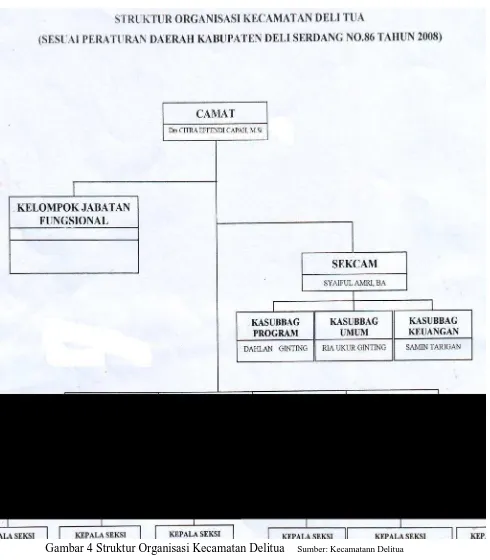 Gambar 4 Struktur Organisasi Kecamatan Delitua 