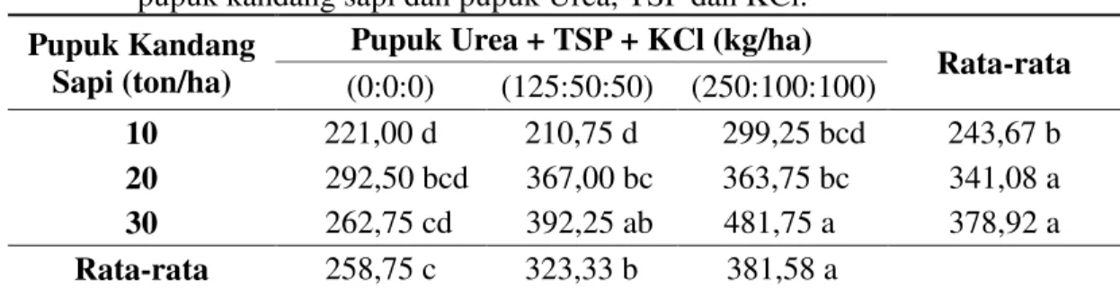 Tabel 5. Rata-rata berat umbi segar per plot (g) bawang merah dengan pemberian  pupuk kandang sapi dan pupuk Urea, TSP dan KCl