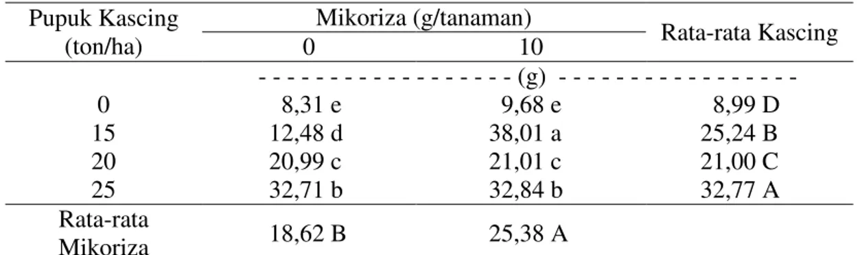 Tabel 7. Rata-rata berat umbi kering layak simpan per rumpun tanaman bawang merah  varietas Bima Brebes dengan pemberian pupuk kascing dan mikoriza