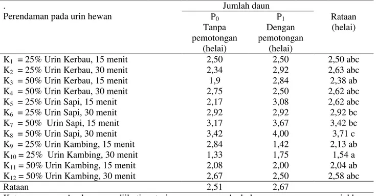 Tabel 3. Jumlah daun benih biwa pada perlakuan perendaman urin  hewan dan pemotongan benih    