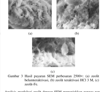 Gambar 3 Hasil payaran SEM perbesaran 2500×: (a) zeolit 