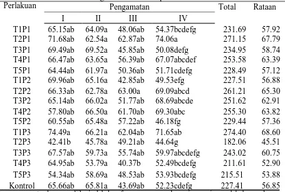 Tabel 2. Rataan intensitas serangan C.cramerella pada buah tanaman kakao Perlakuan Pengamatan Total 