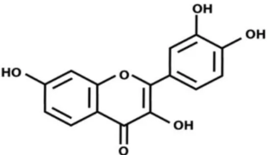 Gambar 1. Struktur Kimia Flavonoid 