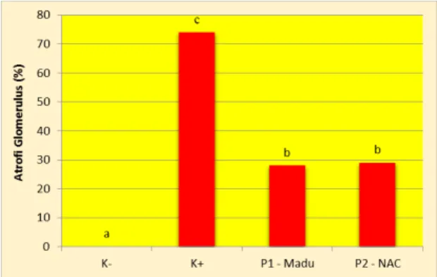 Tabel 1. Rata-Rata Presentase jumlah Atrofi  Glomerulus ginjal mencit 