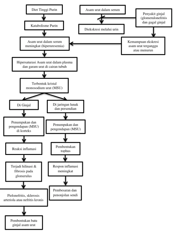 Gambar 2.5. Metabolisme Hiperurisemia dengan   Penyakit Ginjal (Modifikasi Kensara, 2013) 