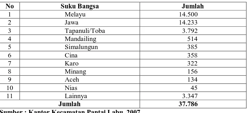 Tabel 4. Distribusi Penduduk Menurut Suku Bangsa di Kecamatan Pantai  Labu Tahun 2007  