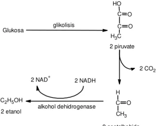 Tabel 4.4. Rendemen Bioetanol Kasar (crude)  Menggunakan Saccharomyces cerevisiae 