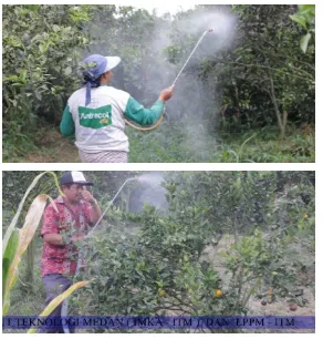 Gambar 9. praktek penerapan TTG, alat penyemprot tanaman (jeruk) desa siabang-abang 