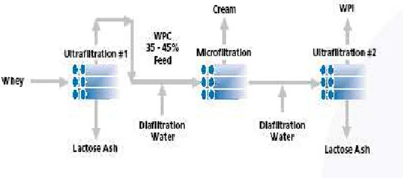 Gambar  3.  Diagram  alir  proses  pembuatan  konsentrat  protein  whey  (WPC)  dan  isolat protein whey (WPI) (Anonim, 2013, Shao dan Sydney, 2004).