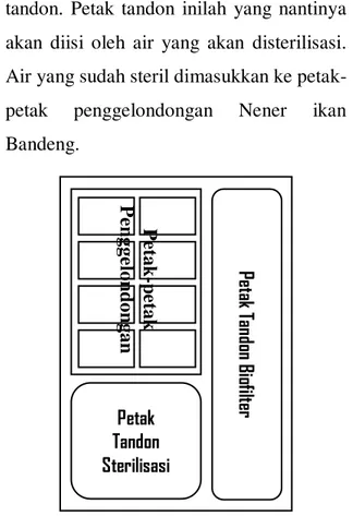 Gambar 04.  Desain  Layout  dari  tambak  Ikan  Bandeng  (Romadhona,  2017). 