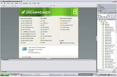 Gambar 2.3 Tampilan Awal Macromedia Dreamweaver 8 