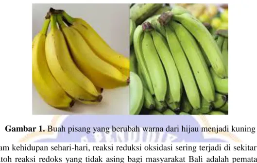 Gambar 1. Buah pisang yang berubah warna dari hijau menjadi kuning  Dalam kehidupan sehari-hari, reaksi reduksi oksidasi sering terjadi di sekitar kita