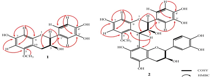 Gambar 2.  Korelasi COSY dan HMBC terpilih untuk senyawa 1 dan 2