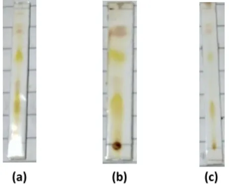 Gambar 4.2 Profil kromatogram KLT hasil maserasi. (a) hari ke-1, (b) hari  ke-2 dan (c) hari ke-3 
