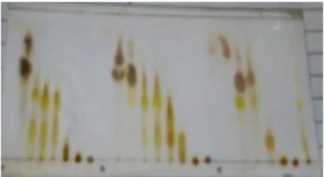 Gambar 4.3 Profil kromatogram KLT hasil KCV 