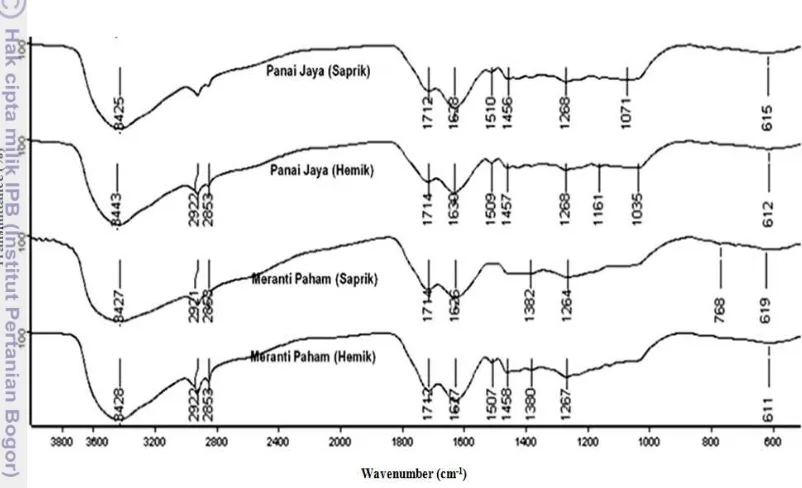 Gambar 4.  Spektra FTIR tanah gambut saprik dan hemik dari Panai Jaya dan 