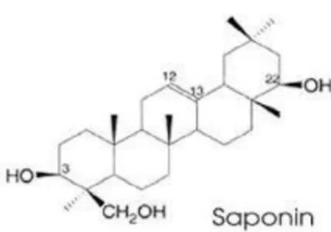 Gambar 3. Struktur Saponin 