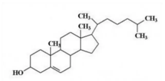 Gambar 4. Struktur dasar Steroid 