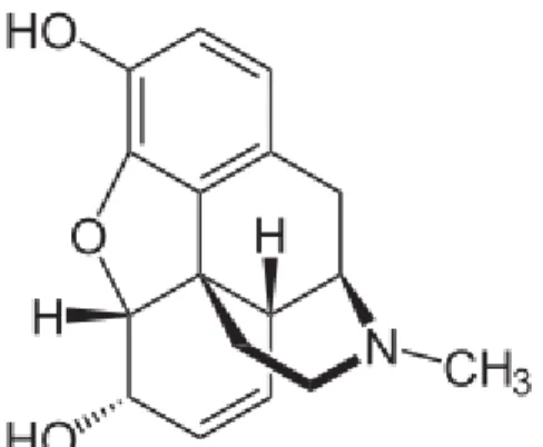 Gambar 1. Struktur Alkaloid 