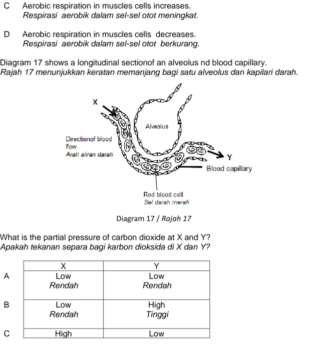 Diagram 17 shows a longitudinal sectionof an alveolus nd blood capillary. 