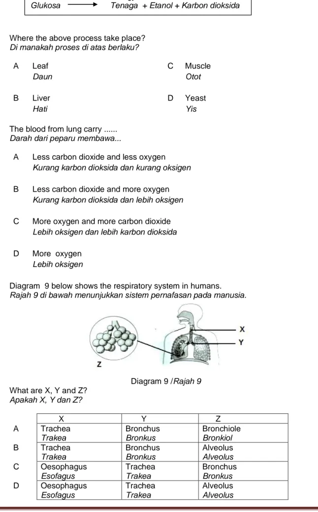 Diagram  9 below shows the respiratory system in humans. 