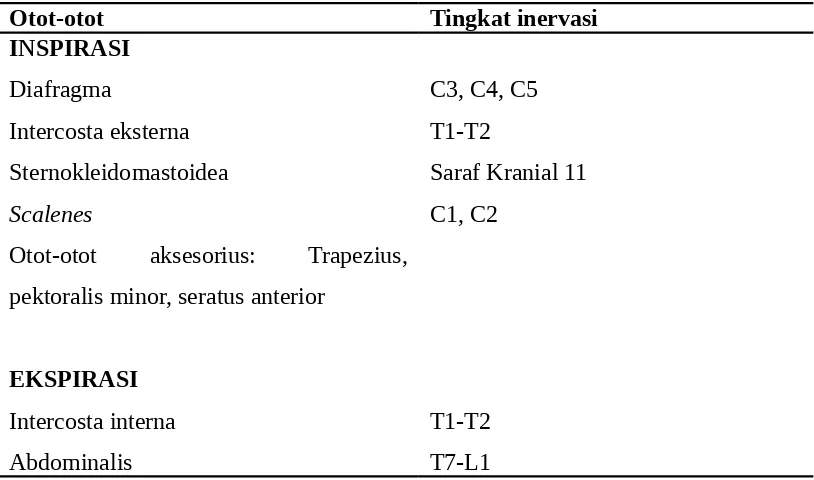Tabel 20-2.     Inervasi Otot Pernapasan