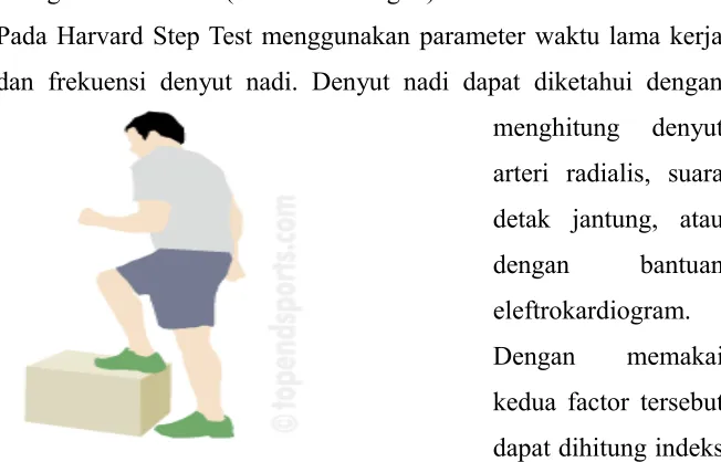 Gambar 3.4 : Bangku Harvard Test