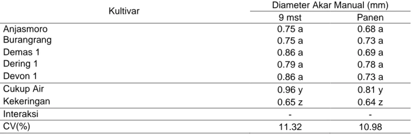 Tabel 10 menunjukkan bahwa diameter akar yang diukur manual pada  9 mst dan  panen,  seiring  bertambahnya  umur  tanaman  diameter  akar  mengalami  penurunan