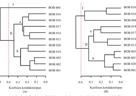 Gambar 1. Dendrogram kubis bunga pada dataran tinggi (A) dan dataran rendah (B) Koefisien ketidakmiripan