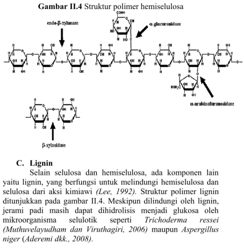Gambar II.4 Struktur polimer hemiselulosa 