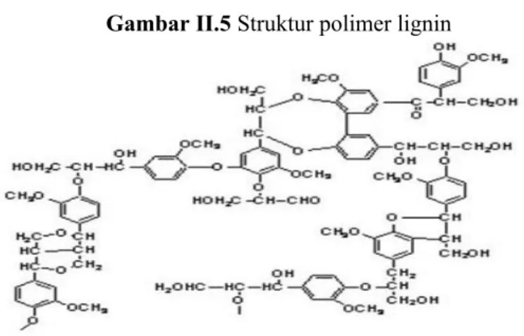 Gambar II.5 Struktur polimer lignin 