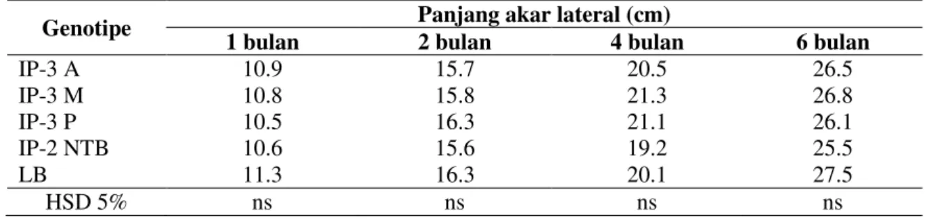 Tabel 1. Jumlah akar lateral beberapa genotype jarak pagar pada berbagai umur 