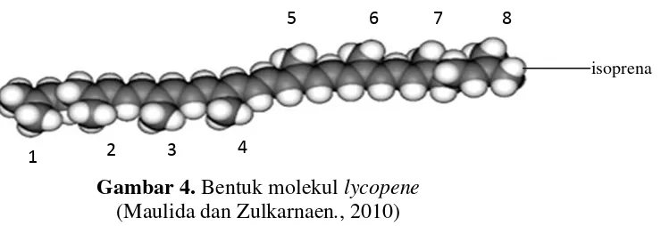 Gambar 4. Bentuk molekul lycopene  