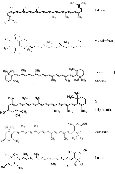Gambar 5. Struktur molekul antioksidan paling potensial  (Nguyen dan Schwartz, 1999) 