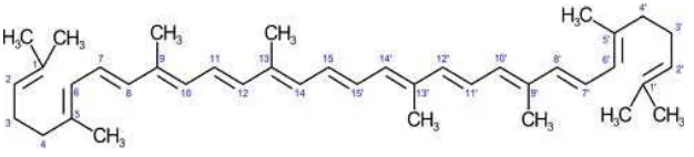 Gambar 6. Stuktur molekul antioksidan likopen  