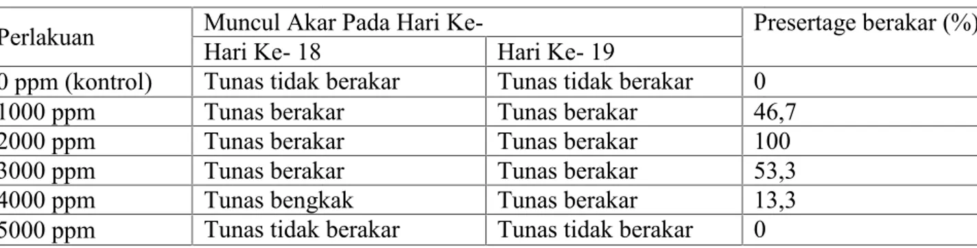 Tabel 1. Stek tunas pucuk zaitun (Olea europaeaL) yang berakar umur 19 HST