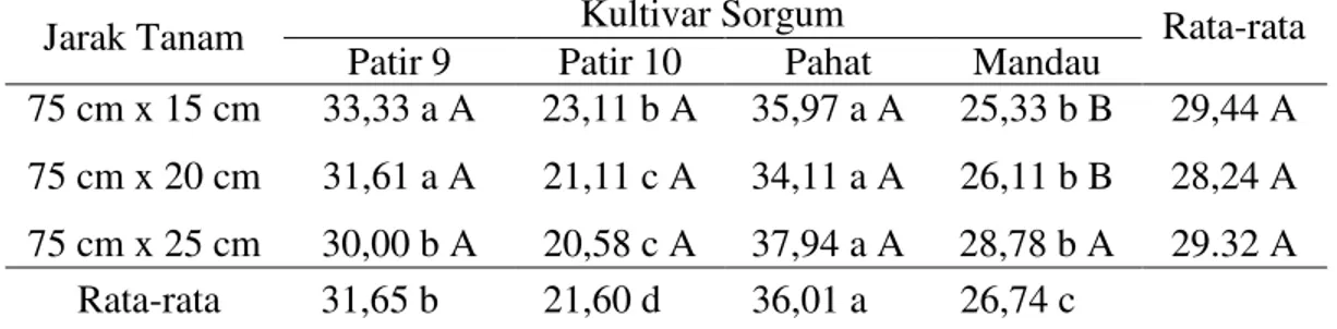 Tabel 2. Rata-rata panjang malai (cm) empat kultivar sorgum dengan jarak tanam  yang berbeda