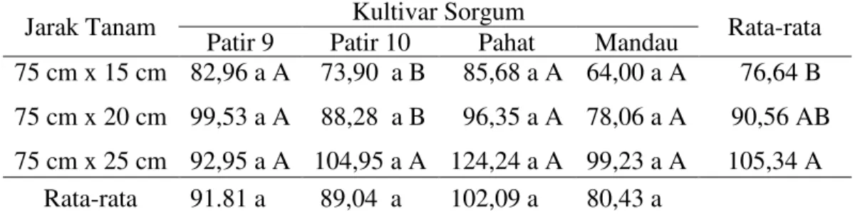 Tabel 3. Rata-rata berat  biji per malai  (g) empat kultivar sorgum dengan jarak       tanam yang berbeda
