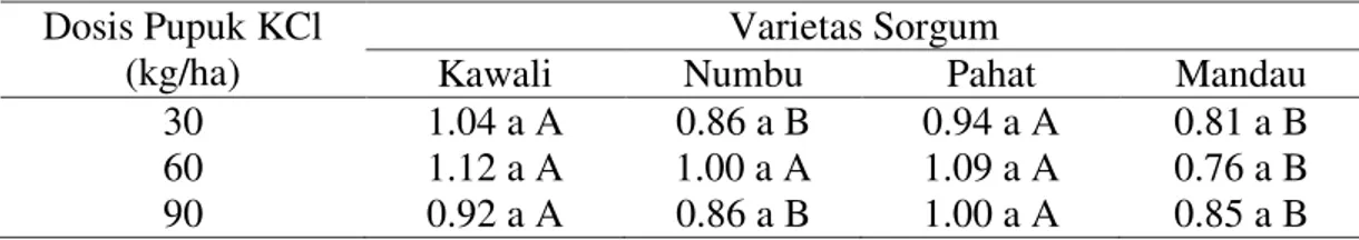 Tabel 4. Berat biji per m 2  (kg) beberapa varietas sorgum yang diberi pupuk KCl  Dosis Pupuk KCl 