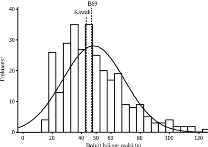 Gambar  2.  Pola  sebaran  bobot  biji  per  malai  populasi  F2  hasil  persilangan B69 x Kawali