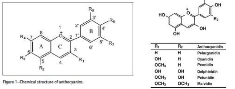 Gambar 2.5. Struktur antosianin dan klasifikasinya (Sumber : Pojer. 2013) 